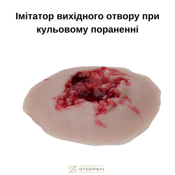 Набір імітаторів вогнепальних, травматичних та термічних уражень PROF. Версія "PREMIUM" 202325-1 фото