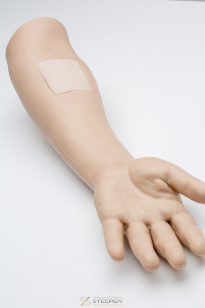 IV injection arm model